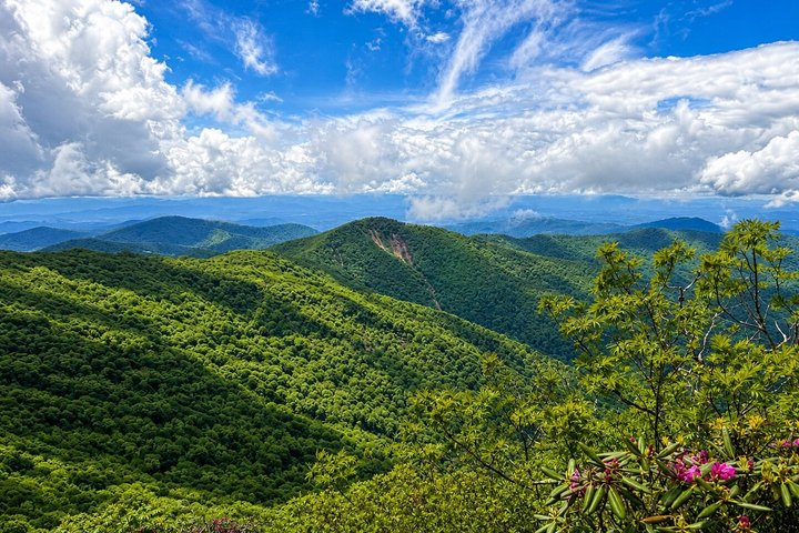 Private Boutique Blue Ridge Parkway Full Day Tour - Photo 1 of 7